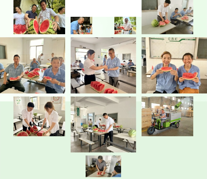 戰高溫，不服“暑” | 前程包裝為員工消暑意，送清涼